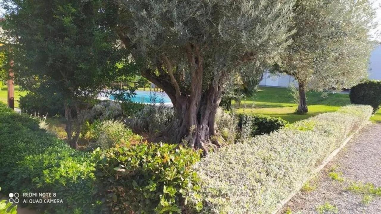 Luxurious 6 Bedroom Villa In A Great Location Chalkís エクステリア 写真