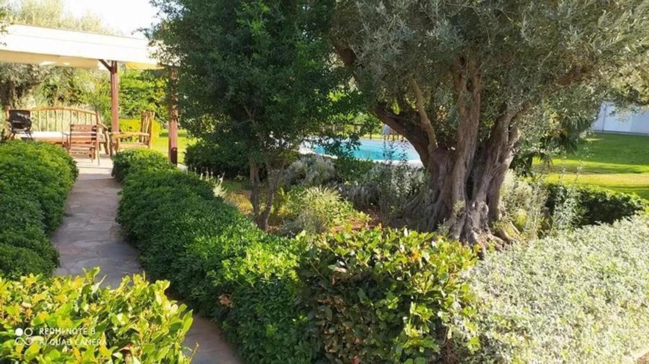 Luxurious 6 Bedroom Villa In A Great Location Chalkís エクステリア 写真