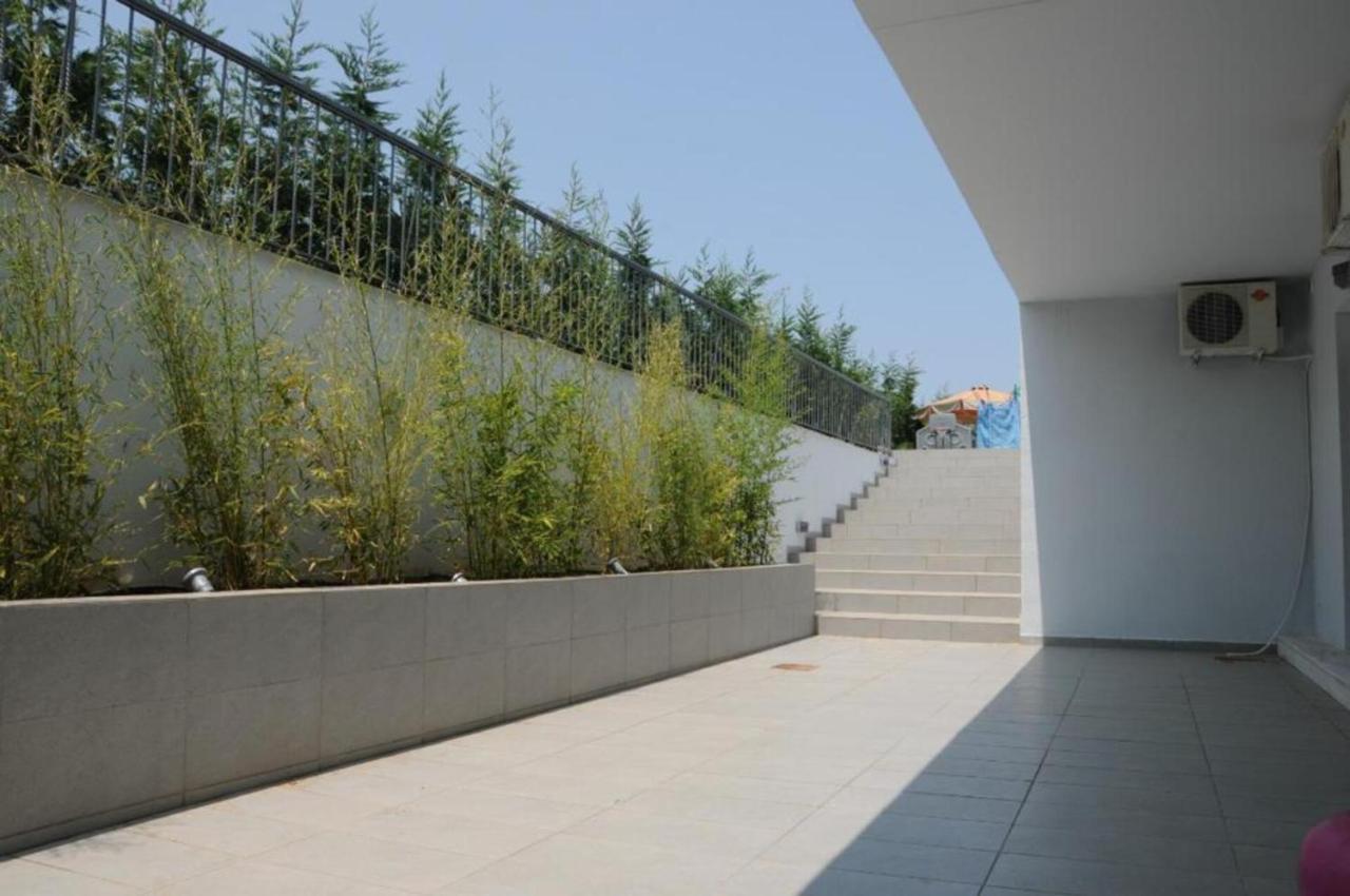 Luxurious 6 Bedroom Villa In A Great Location Chalkís エクステリア 写真