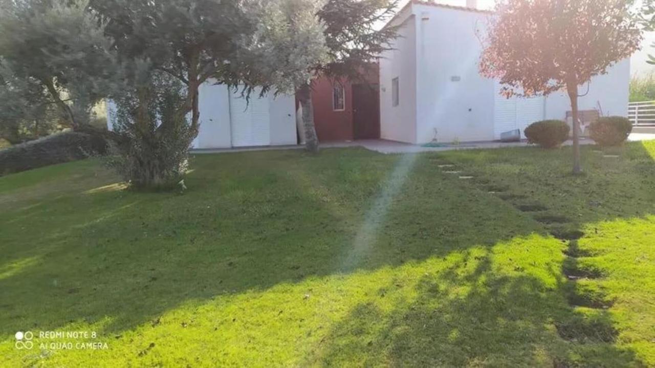 Luxurious 6 Bedroom Villa In A Great Location Chalkís エクステリア 写真
