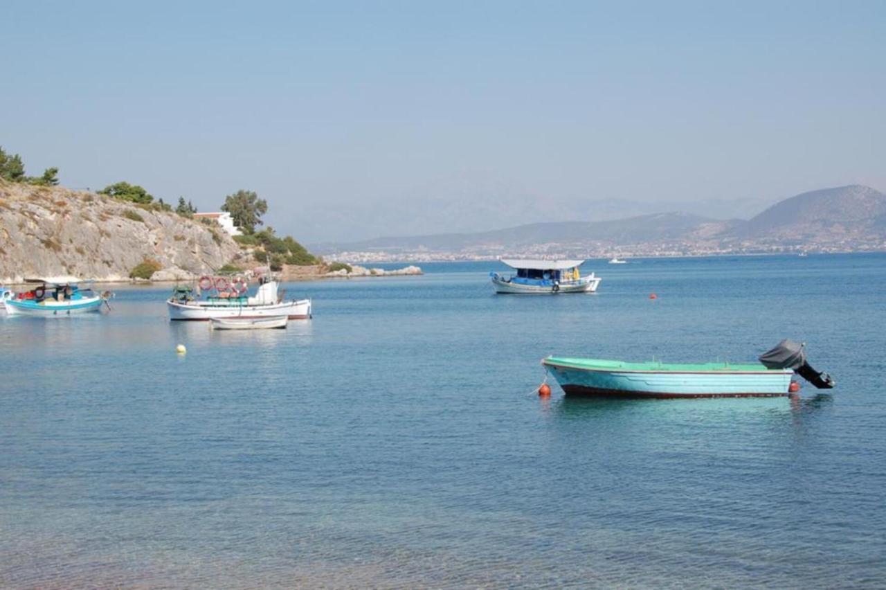 Luxurious 6 Bedroom Villa In A Great Location Chalkís エクステリア 写真